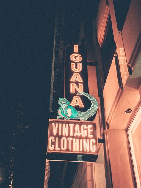 3840x2160px | free download | HD wallpaper: Iguana Vintage Clothing ...