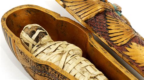 Let’s learn about mummies | Science News for Students