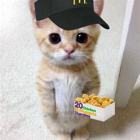 matching mcdonalds cat pfp | matching pfps en 2023 | Fotos de perros chistosos, Gatito, Fotos de ...