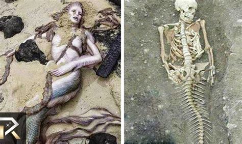 10 REAL LIFE MERMAIDS Caught On Camera