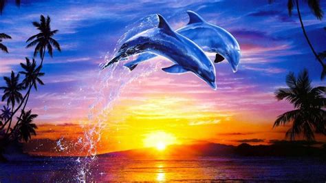 Download Dolphin Wallpaper