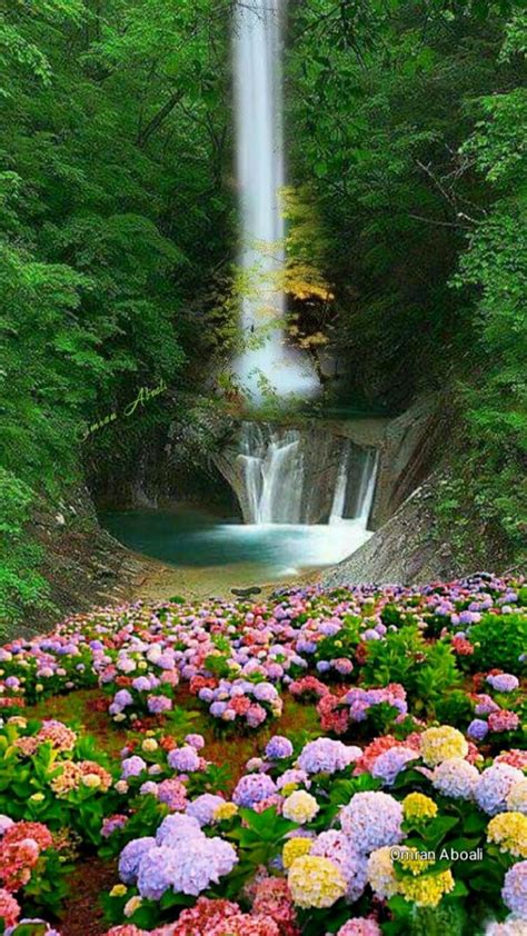 #waterfall and beautiful #flowers | Beautiful nature, Nature photography, Beautiful landscapes