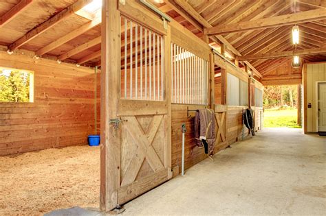 Best No-Worries Barn Flooring for Aisles, Tack Rooms, etc. - Horse Rookie