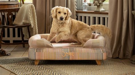 Memory Foam Bolster Dog Beds | Omlet