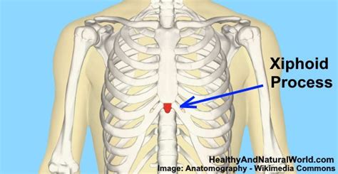 Xiphoid Process Pain Causes Symptoms When To See A Doctor