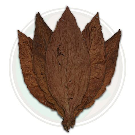 Pennsylvania Binder Tobacco Leaf - Cigar Binder Tobacco Grown in Pennsylvania, USA. - Cigar Leaf