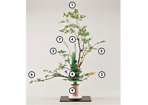 Ikebana: All You Need to Know About Japanese Flower Art