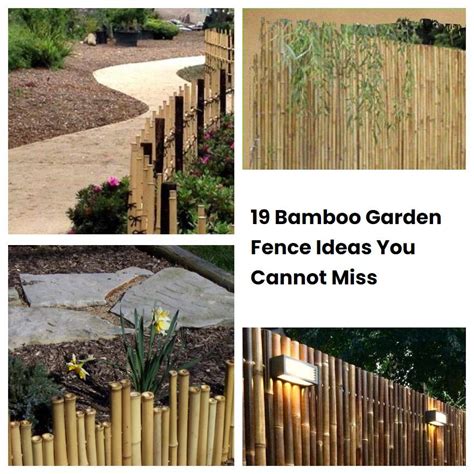 19 Bamboo Garden Fence Ideas You Cannot Miss | SharonSable