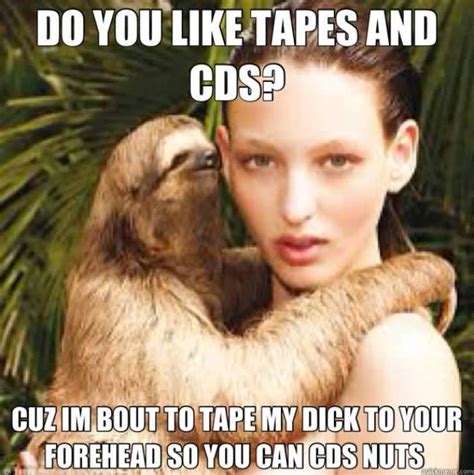 50+ Hilarious Sloth Memes To Brighten Your Day