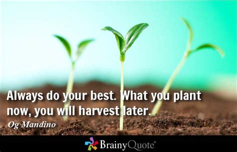 Inspirational Farming Quotes. QuotesGram