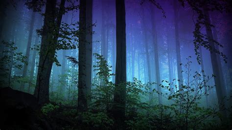 Green trees painting, dark, forest, nature, trees HD wallpaper | Wallpaper Flare