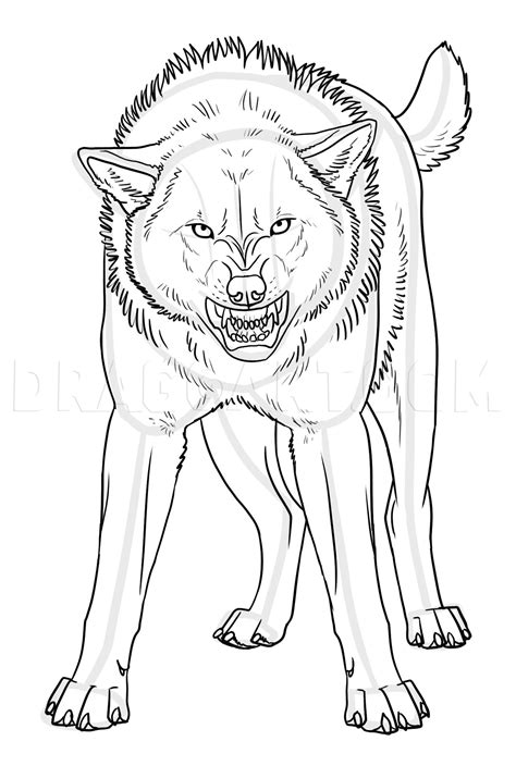 How to Draw an Angry Wolf