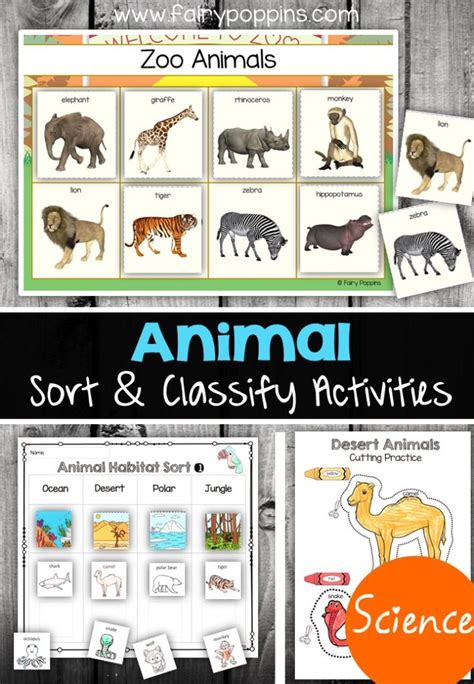 Animal Sort and Classify | Fairy Poppins