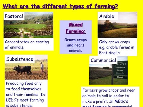 Farming System, Types And Decisions And Distribution Ap