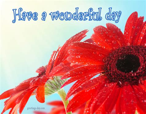 Have a Wonderful Day - Free Quotes, Images, Animated GIFs.