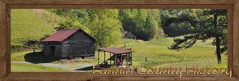 Brief History of Fannin County Georgia