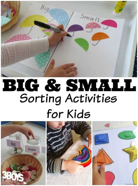 Fun Big and Small Sorting Activities for Kids | Preschool Learning