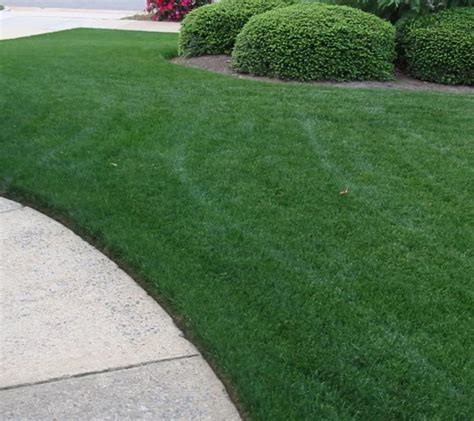 Pin by Sandy Linck on GARDENING | Bermuda grass, Mowing, Lawn care