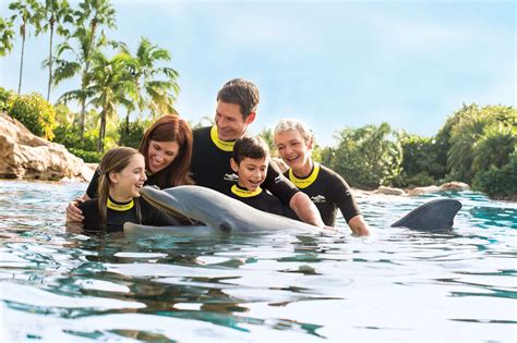 10 Things You Always Wanted to Know About the Discovery Cove Dolphin Swim