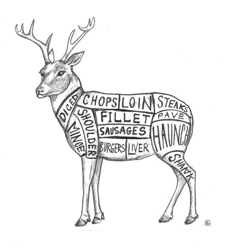 Butchering A Deer Diagram Deer Butcher Chart