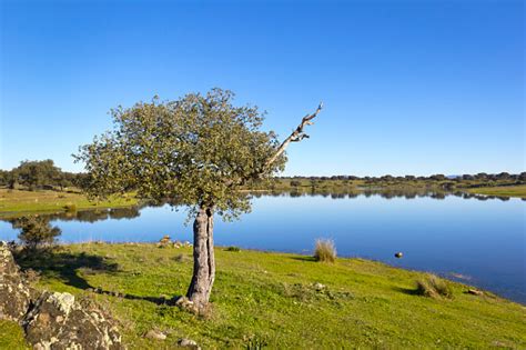 Idyllic Landscape Stock Photo - Download Image Now - iStock