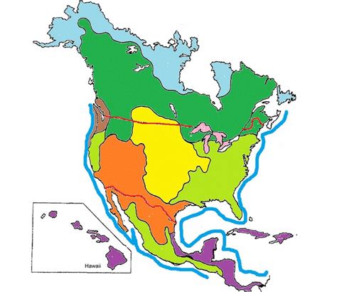 North American Biomes Diagram | Quizlet