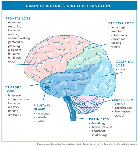 Brain Cancer Causes