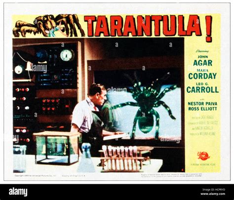 TARANTULA, Leo G. Carroll on lobbycard, 1955 Stock Photo - Alamy