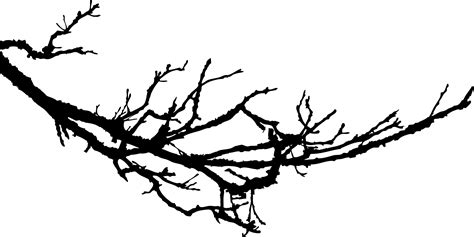 Tree With Branches Drawing at GetDrawings | Free download