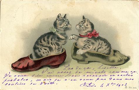 Lot - Antique Rare Postcard Animals Kittens