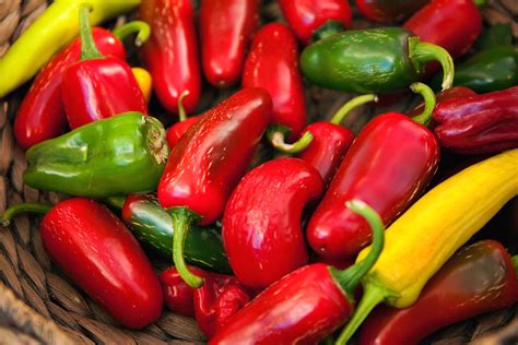 Types of chillies: mild & fiery-hot varieties - Plantura