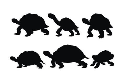 Tortoise Silhouette Images – Browse 11,135 Stock Photos, Vectors, and Video | Adobe Stock