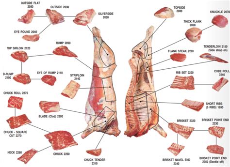 Beef Meat Primal Cuts Diagram - Ask John The Butcher