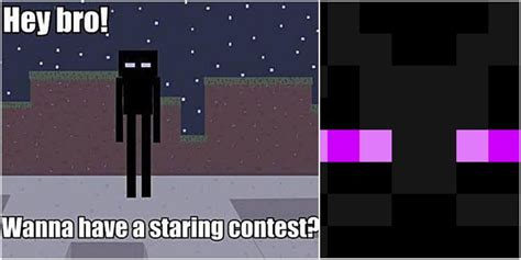 Minecraft: 10 Enderman Memes That Are Hilariously Funny