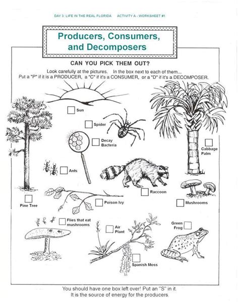 ️Ecosystem Vocabulary Worksheet Free Download| Goodimg.co