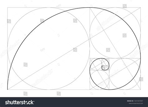 Golden Ratio Geometric Concept Fibonacci Spiral Stock Vector (Royalty Free) 1441037357