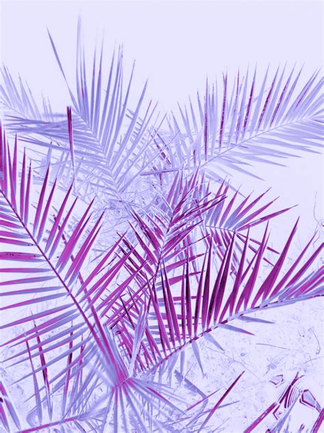 View 28 Wallpaper Aesthetic Pastel Purple Background - bitakswasusi