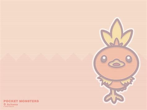 Torchic, cute, fire, may, pokemon, chick, HD wallpaper | Peakpx