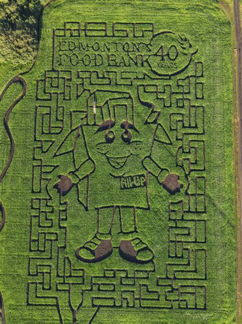 The Edmonton Corn Maze opens this week with a new design | Listed