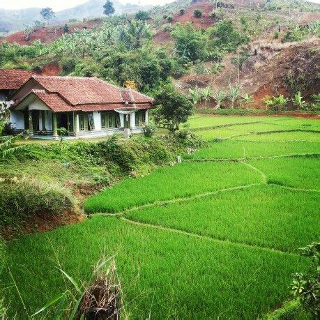 suasana raya di kampung - Sebastian Edmunds