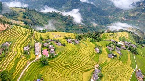 Banaue Rice Terraces: World wonder at risk of collapse as as locals ...