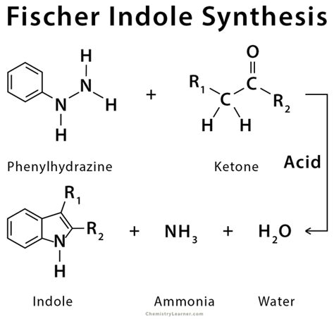 Fischer Indole Synthesis: Definition, Examples and Mechanism