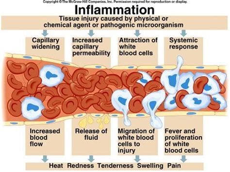 How long will this take? Time frames of tissue healing | Lifecare