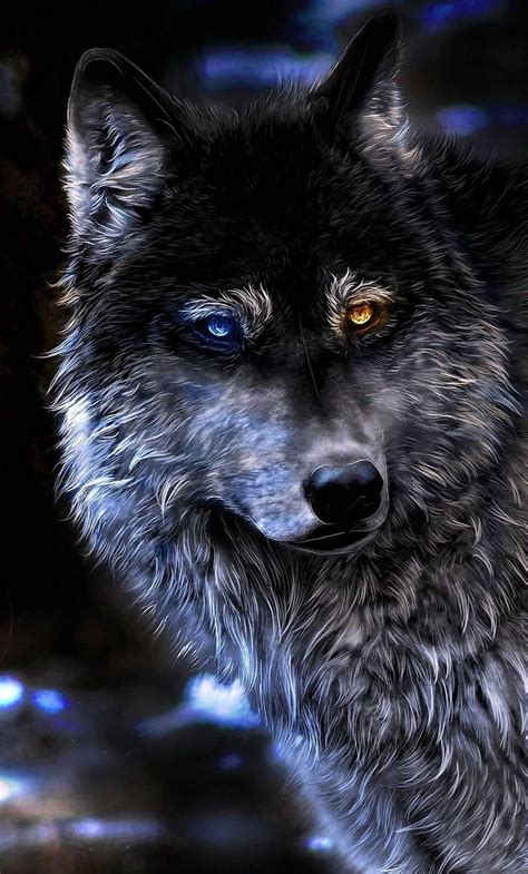 a close up of a wolf with blue eyes looking at something in the distance on a dark background