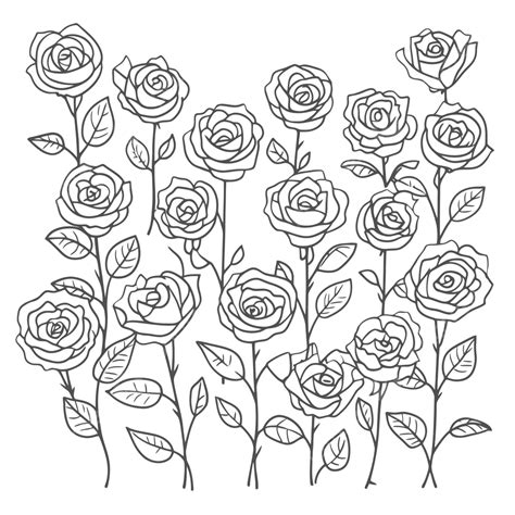 Roses Coloring Pages With Leaves Outline Sketch Drawing, 46% OFF