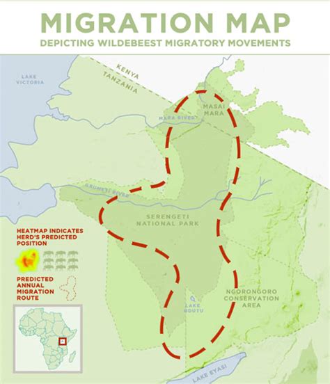 Wildebeest Migration Tracker | Geography 250