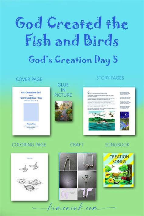 God's Creation Story Day 5: Fish and Birds | Creation story, Creation bible lessons, Creation bible