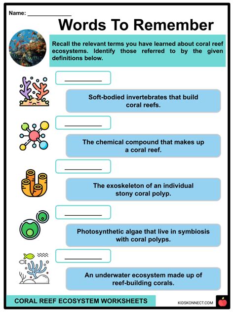 Coral Reef Ecosystem Worksheets | Formation, Geography, Types