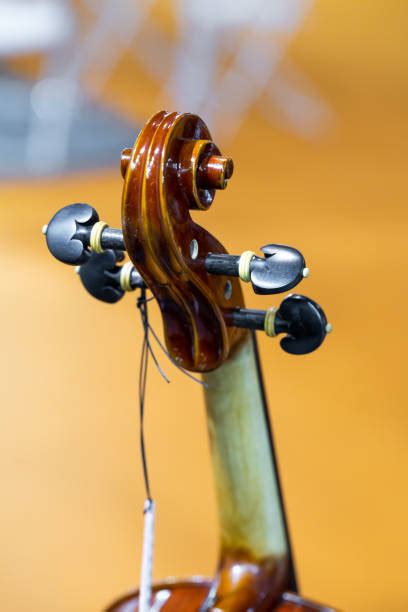 610+ Tuning A Violin Stock Photos, Pictures & Royalty-Free Images - iStock