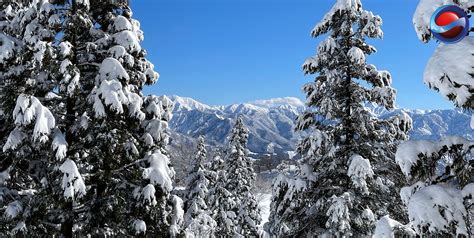 SnowJapan | The independent guide to skiing, snowboarding and ski resorts in Japan